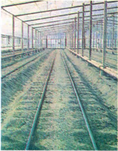 Damla sulama özellikle seralarda ekonomik değeri yüksek bitkilerin yetiştirilmesinde yararlıdır.